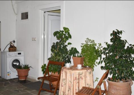 Zoe'S Apartment Bright&Cozy Atina Dış mekan fotoğraf